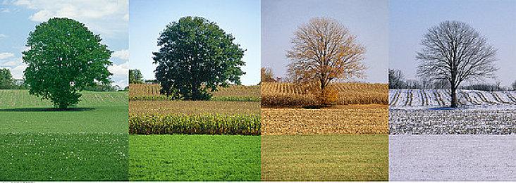 《块魂》制作人新作《to a T》主角手臂放不下