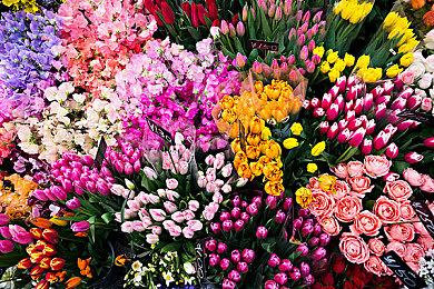 《极乐迪斯科》编剧＆导演周冠宇致歉 承认灵感来自游戏